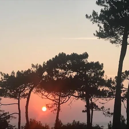 Grande Maison Avec Un Patio Au Bord De La Holiday home Arcachon